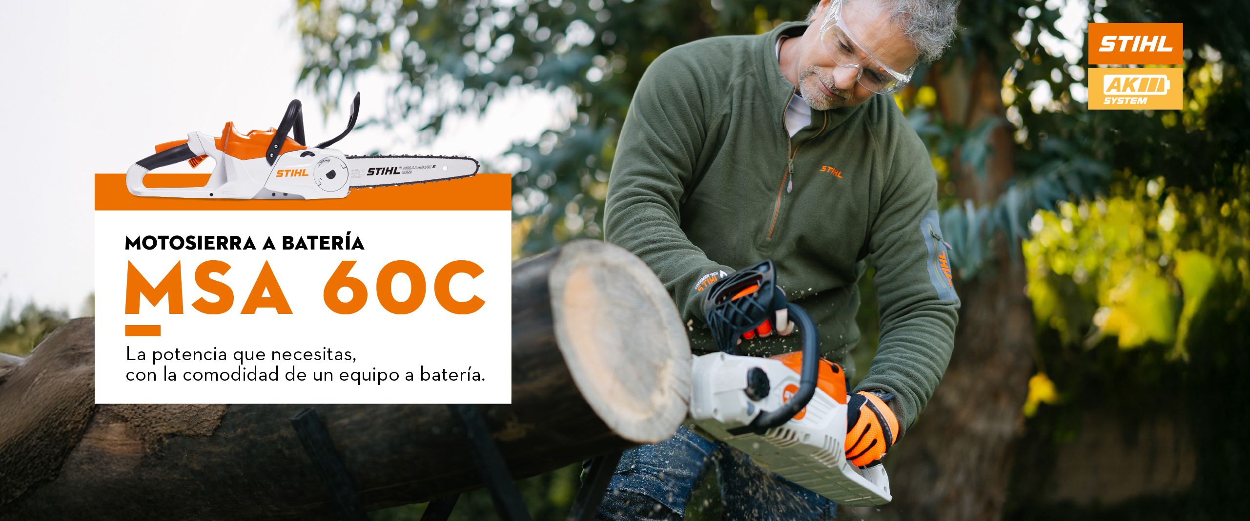 DESKTOP-REDSTIHL-MSA-60c